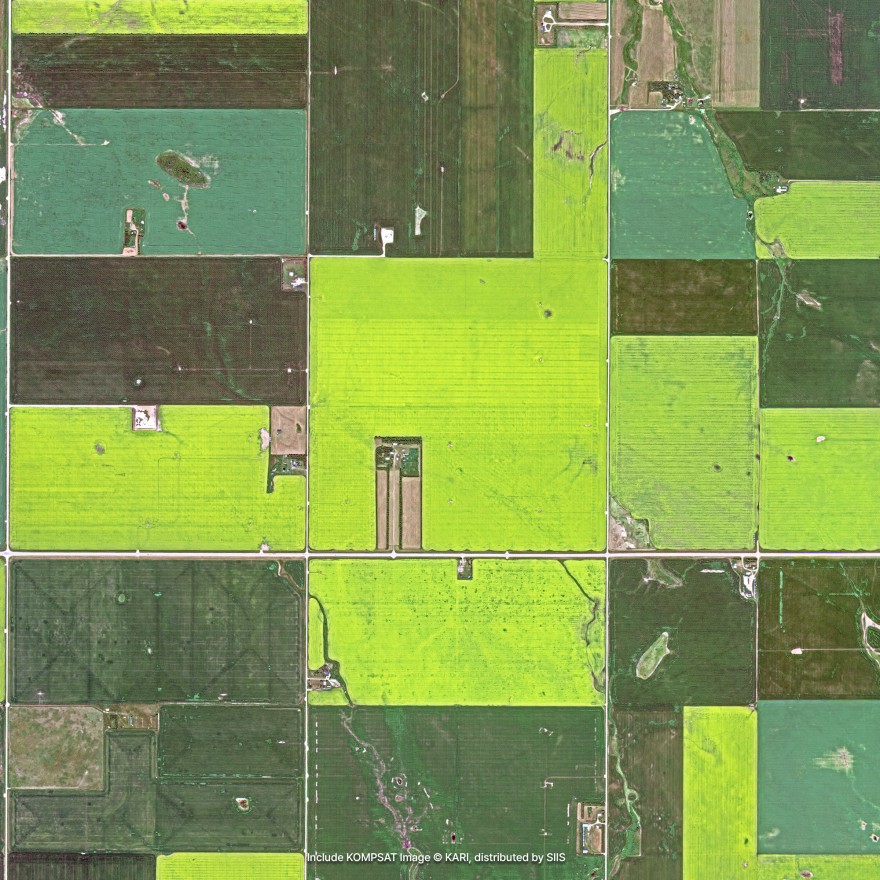 Agriculture Example 3